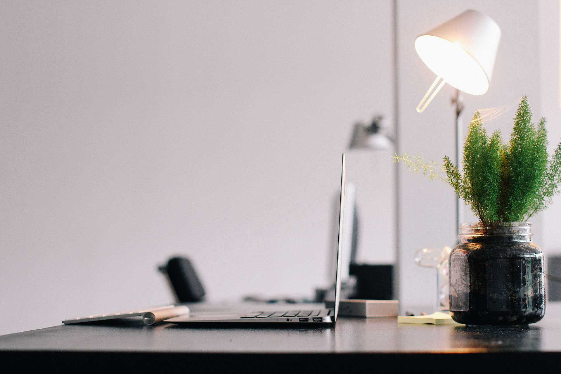 Zijkant van een laptop op een bureau met een groene plant op de voorgrond, in een lichte en moderne werkruimte